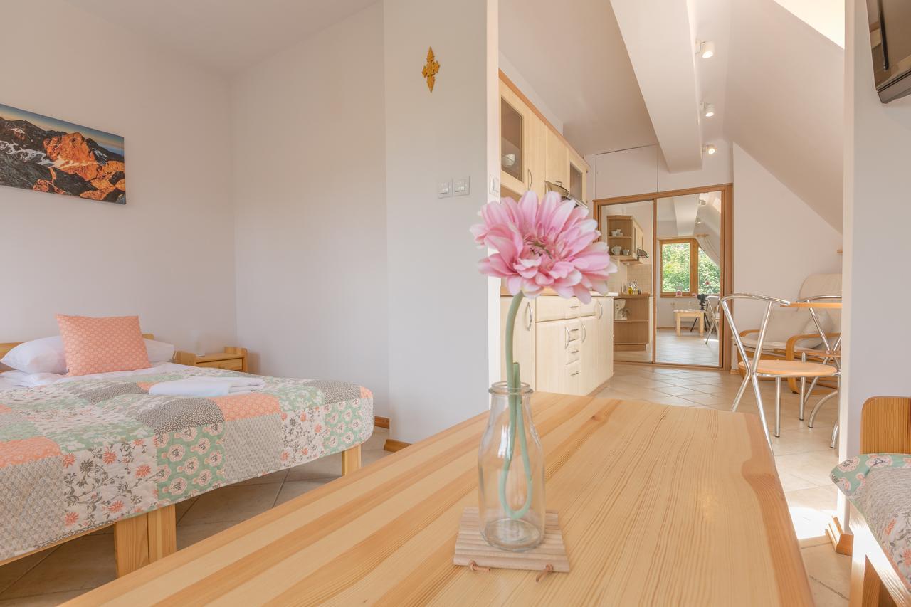 Rent Like Home - Orkana IV Centrum Zakopane Luaran gambar